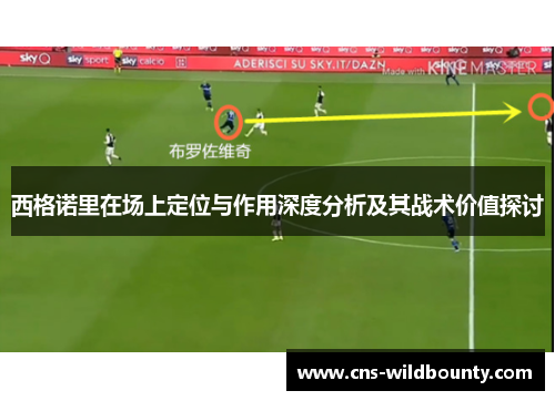 西格诺里在场上定位与作用深度分析及其战术价值探讨 西格诺里在场上定位与作用深度分析及其战术价值探讨