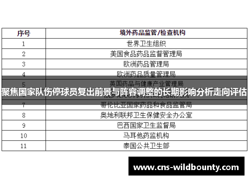 聚焦国家队伤停球员复出前景与阵容调整的长期影响分析走向评估