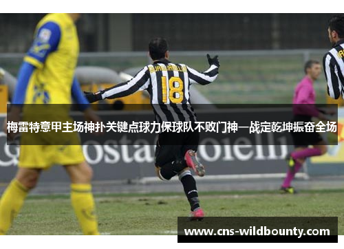 梅雷特意甲主场神扑关键点球力保球队不败门神一战定乾坤振奋全场