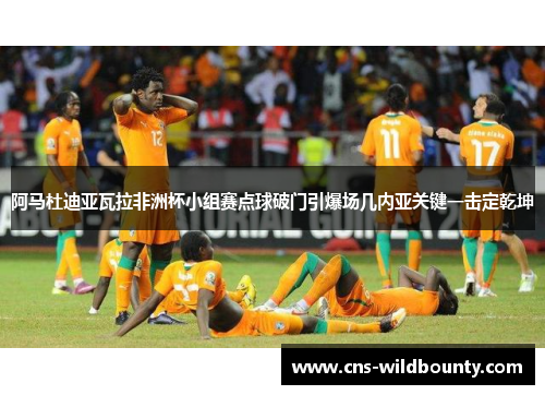 阿马杜迪亚瓦拉非洲杯小组赛点球破门引爆场几内亚关键一击定乾坤