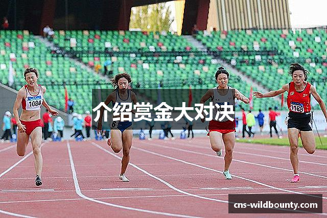 介绍赏金大对决